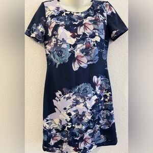 Muse  Short Sleeve Sheath Dress Size 6